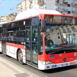 bus-517.jpg
