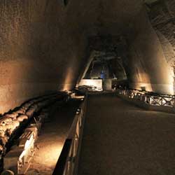 Cimetière des Fontanelle - Galerie