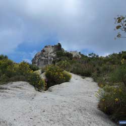 Ischia - Monte Epomeo