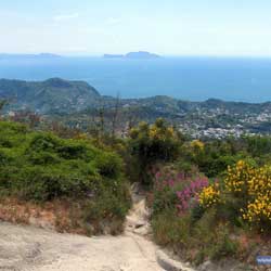 Ischia - Vue sur Capri depuis le Monte Epomeo