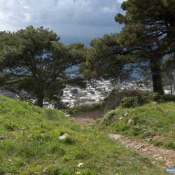 Monte Solaro - Sentier