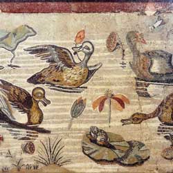 Mosaïque romaine - Canards