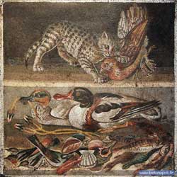 Mosaïque romaine - Nature morte