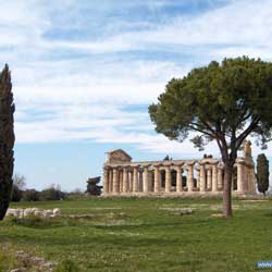 Paestum - Temple de Cérès