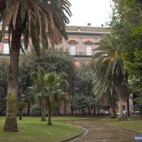 Palazzo Reale - Jardin