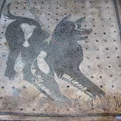 Pompei - Cave Canem