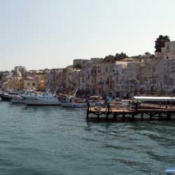 Procida - port