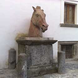 Tête de cheval