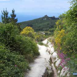 Ischia - Sentier du Monte Epomeo