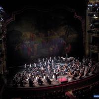 Teatro San Carlo - Orchestre